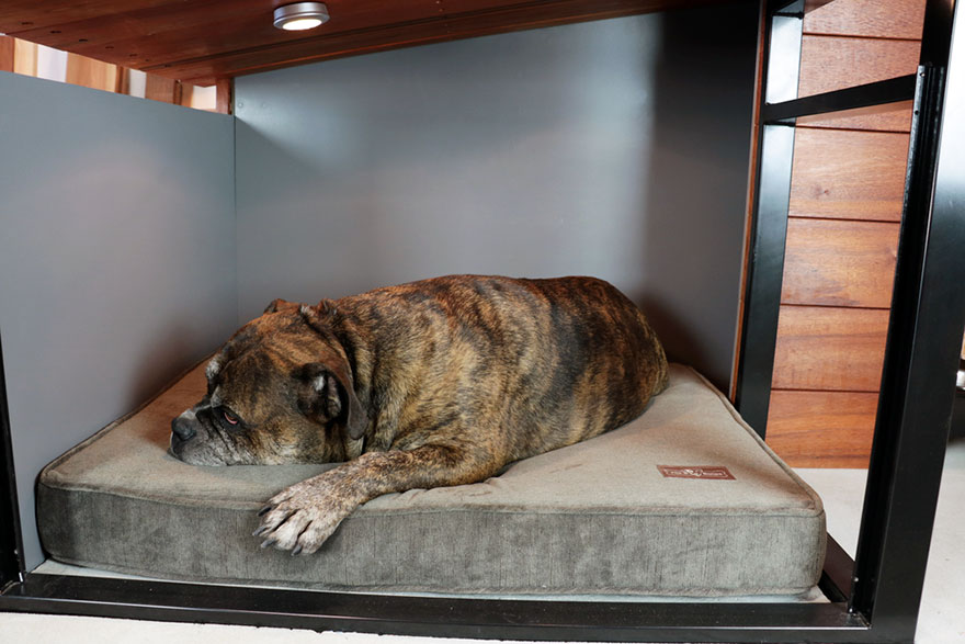 Dog House Reinvented To Fit Modern Home’s Aesthetic