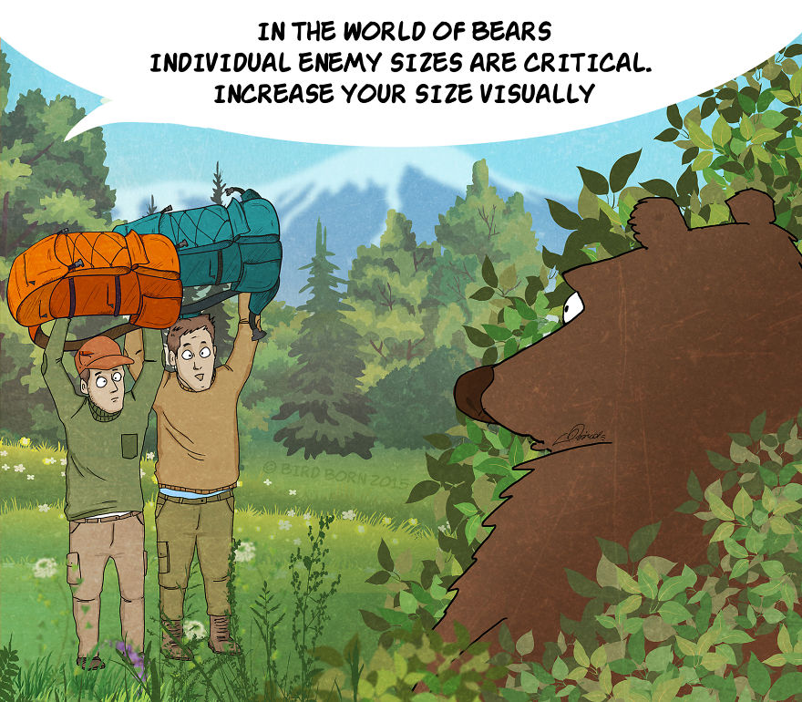 10 Facts You Need To Know About Bears
