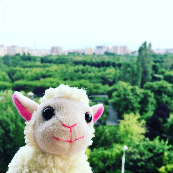 Felip The Sheep Presents You Bucharest City