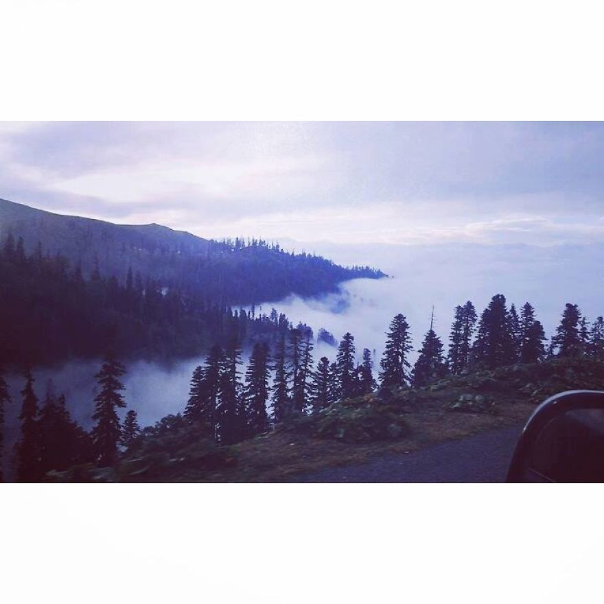 The Most Beautifuli Mountain Resort Area In Georgia. Bakhmaro