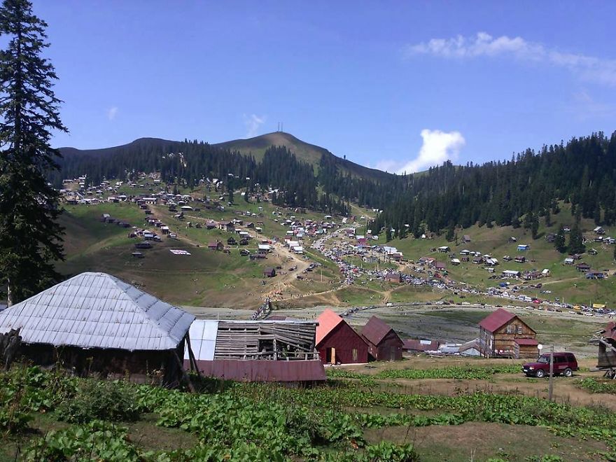 The Most Beautifuli Mountain Resort Area In Georgia. Bakhmaro