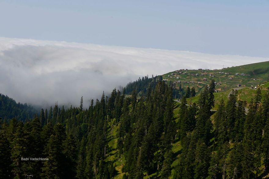 The Most Beautifuli Mountain Resort Area In Georgia. Bakhmaro