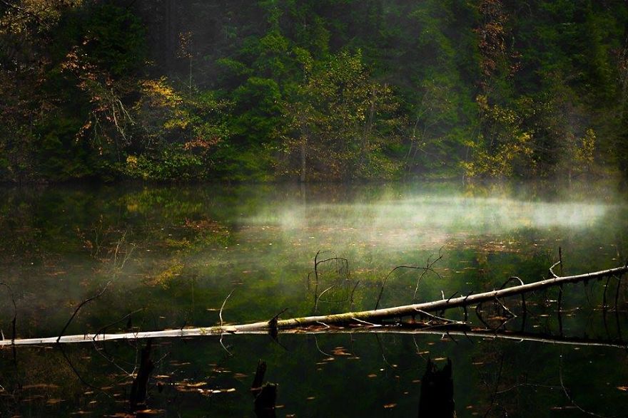 Photographer Etuna Mtvarelidze's Photos