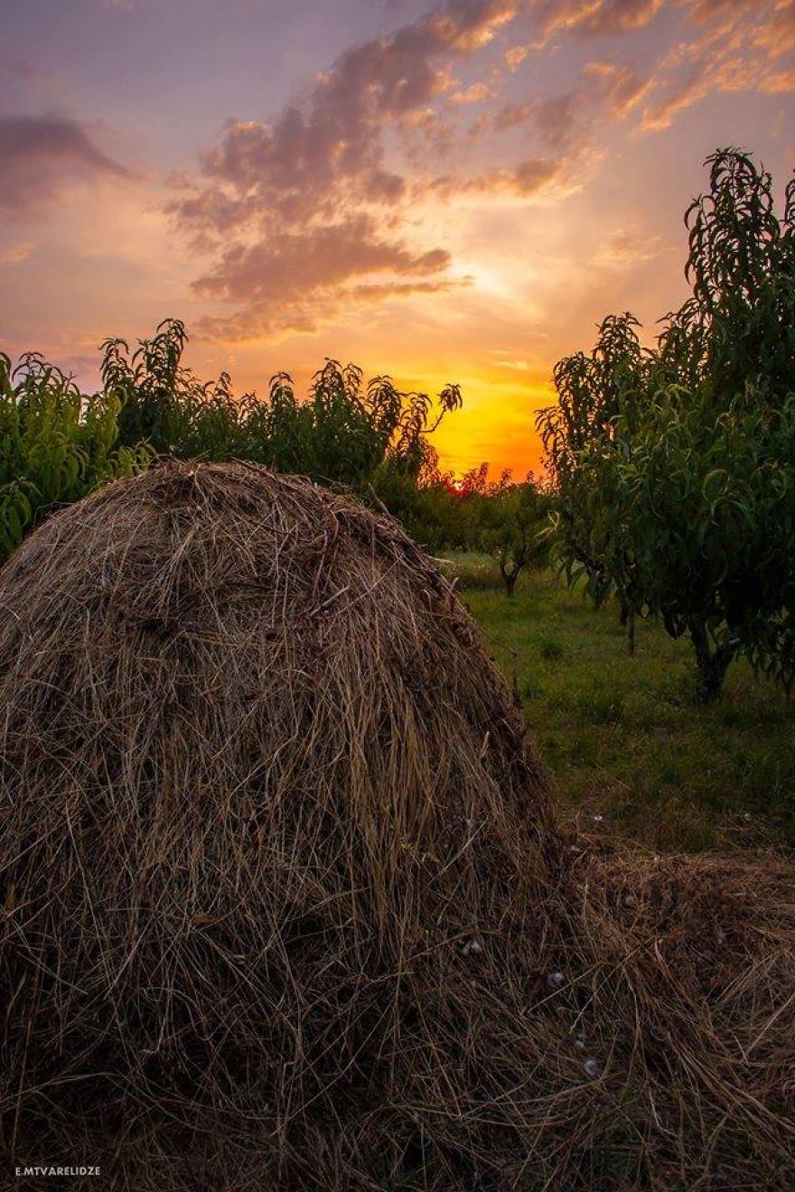 Photographer Etuna Mtvarelidze's Photos