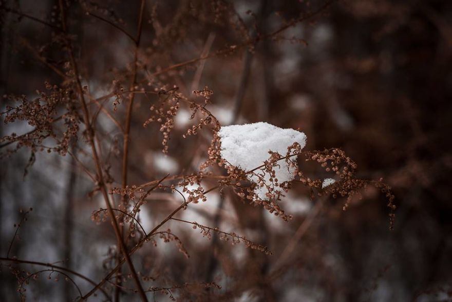 Photographer Etuna Mtvarelidze's Photos