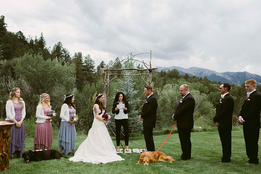 15-Year-Old Dying Dog Lives To See Owner Get Married