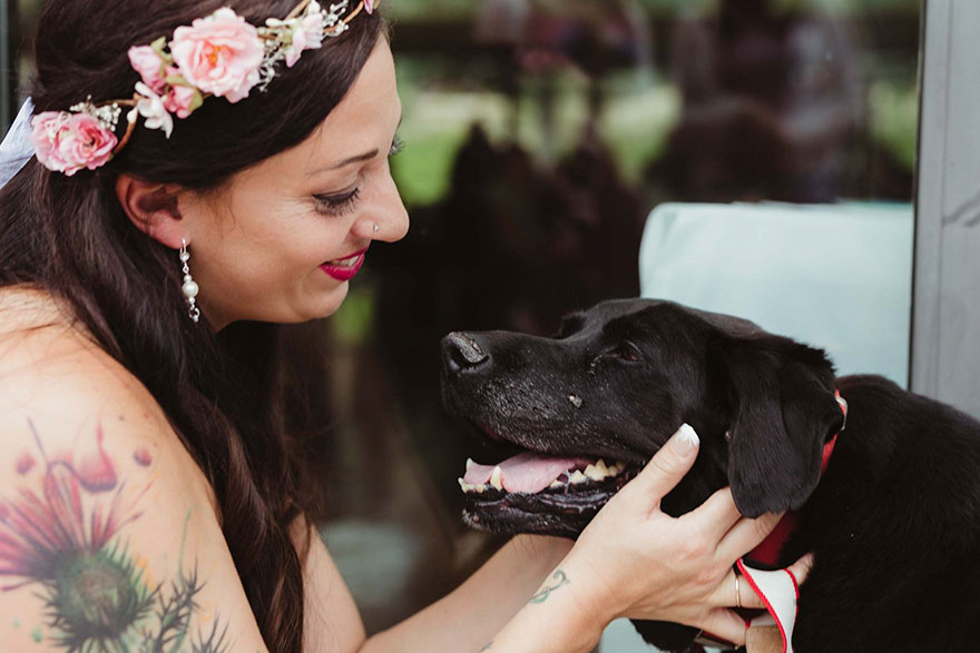 15-Year-Old Dying Dog Lives To See Owner Get Married | Bored Panda
