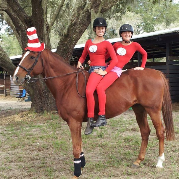 19 Horses That Couldn’t Be Less Excited About Halloween