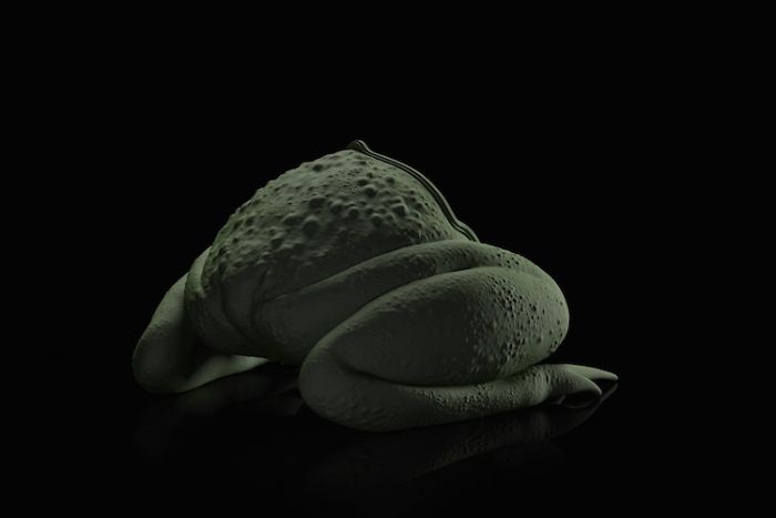 Quirky Animal Shaped Furniture, Chairs And Sofas Quirky Animal Shaped Furniture, Chairs And Sofas