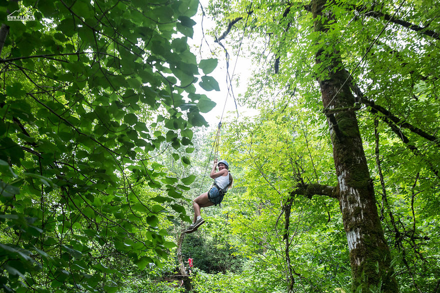 Zipline At Mtirala National Park Zipline At Mtirala National Park