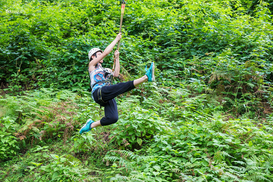 Zipline At Mtirala National Park Zipline At Mtirala National Park