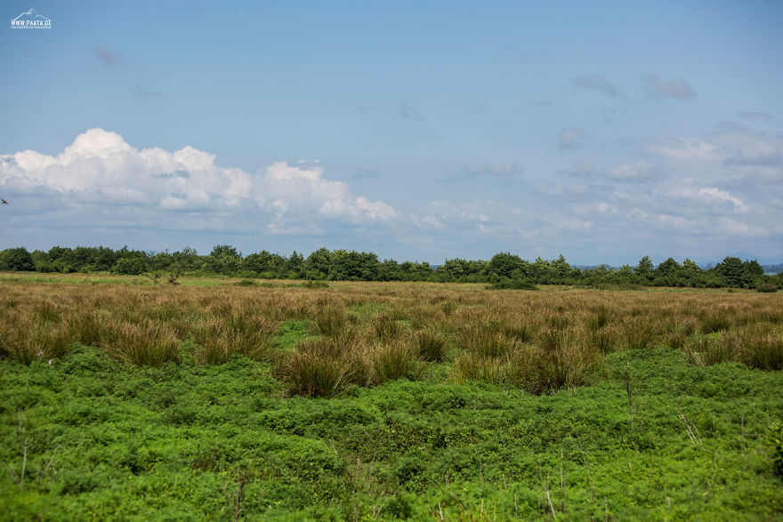 Kobuleti Protected Areas Kobuleti Protected Areas