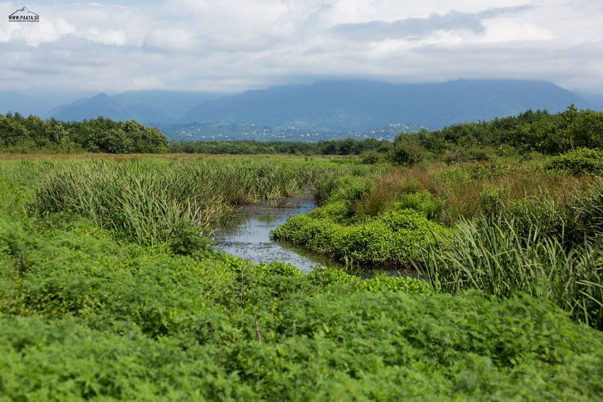 Kobuleti Protected Areas Kobuleti Protected Areas