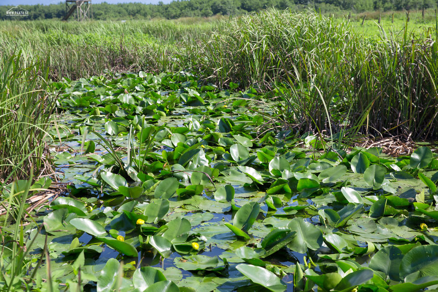 Kobuleti Protected Areas Kobuleti Protected Areas