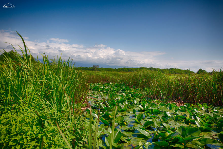 Kobuleti Protected Areas Kobuleti Protected Areas