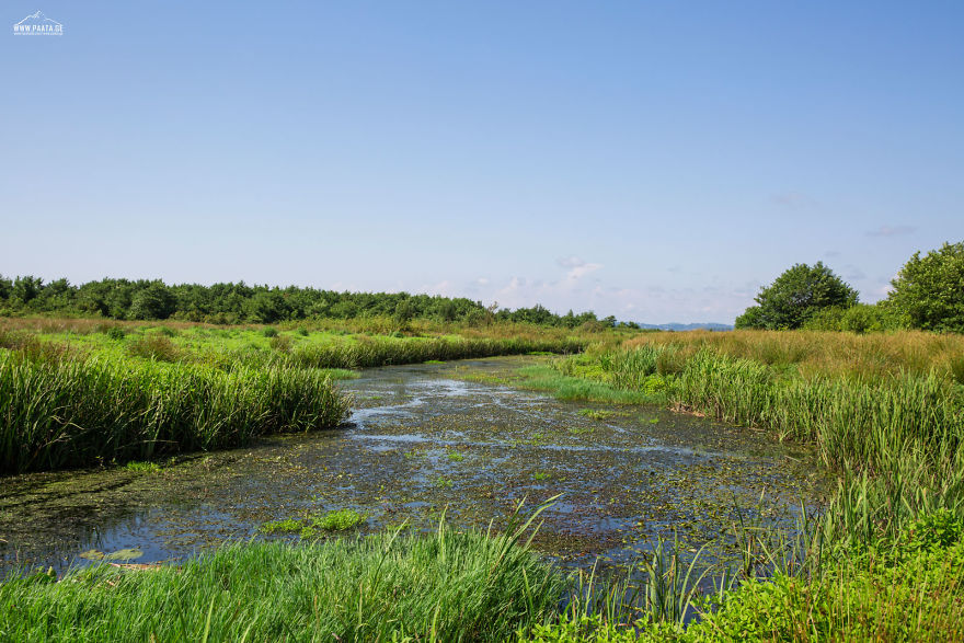 Kobuleti Protected Areas Kobuleti Protected Areas