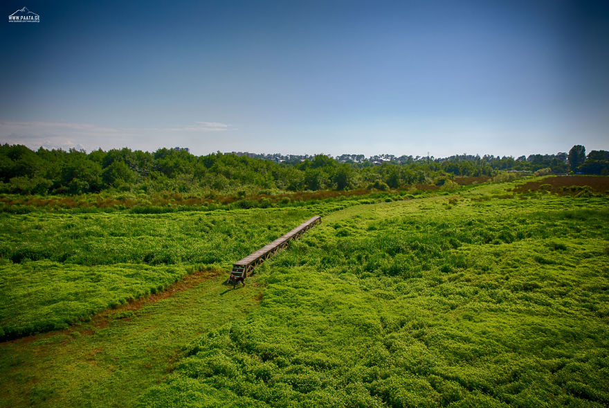 Kobuleti Protected Areas Kobuleti Protected Areas