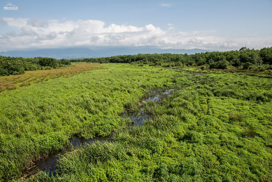 Kobuleti Protected Areas Kobuleti Protected Areas