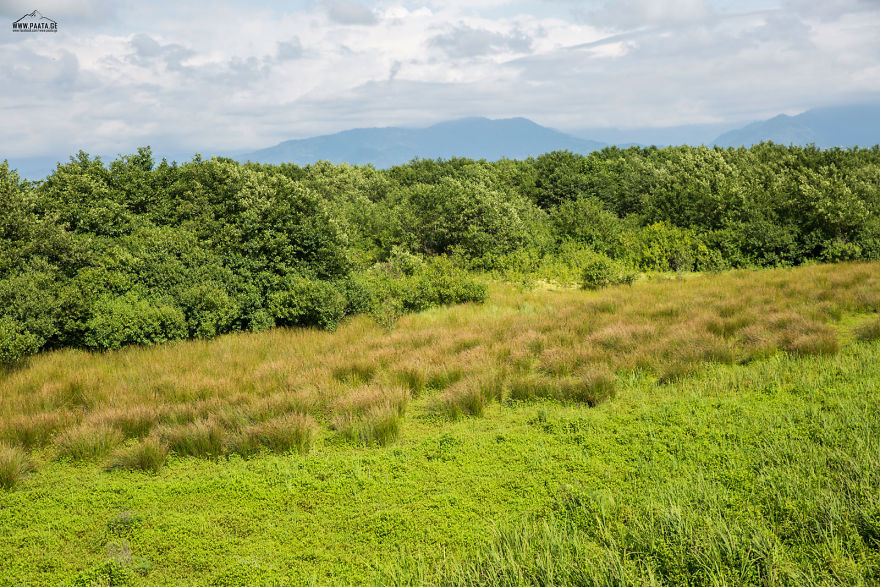 Kobuleti Protected Areas Kobuleti Protected Areas