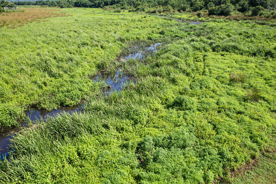 Kobuleti Protected Areas Kobuleti Protected Areas