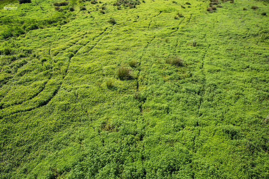 Kobuleti Protected Areas Kobuleti Protected Areas