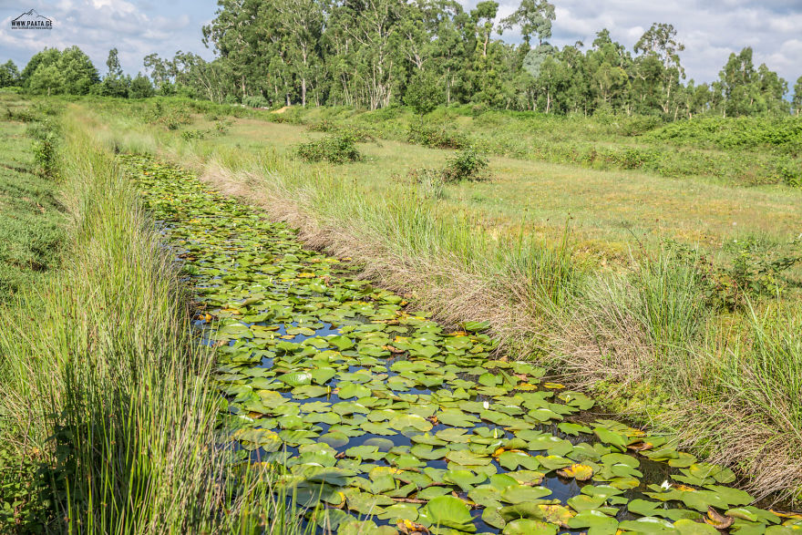 Kobuleti Protected Areas Kobuleti Protected Areas