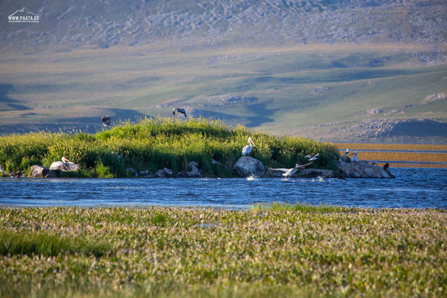 I Photographed The Beauty Of Javakheti Protected Areas In Georgia