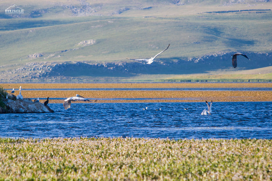I Photographed The Beauty Of Javakheti Protected Areas In Georgia