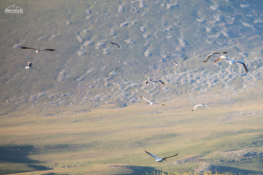 I Photographed The Beauty Of Javakheti Protected Areas In Georgia