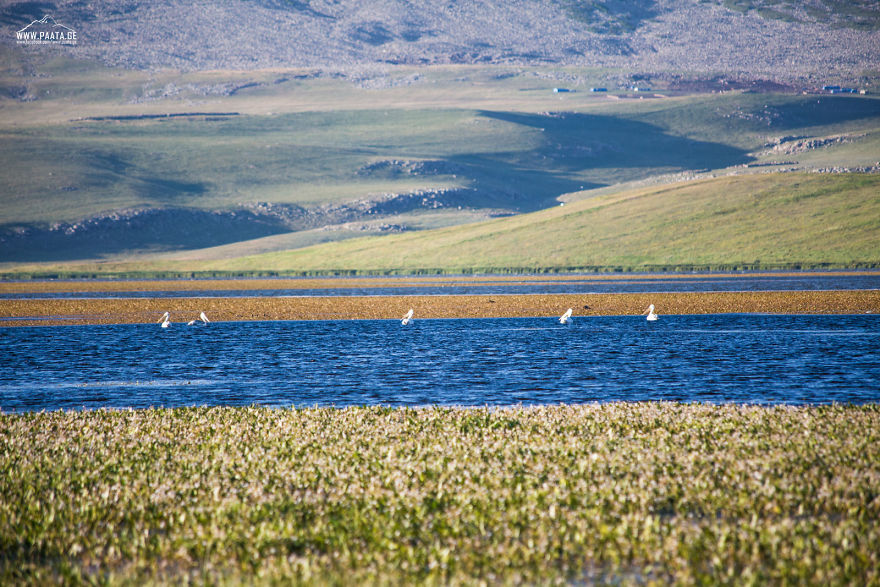 I Photographed The Beauty Of Javakheti Protected Areas In Georgia