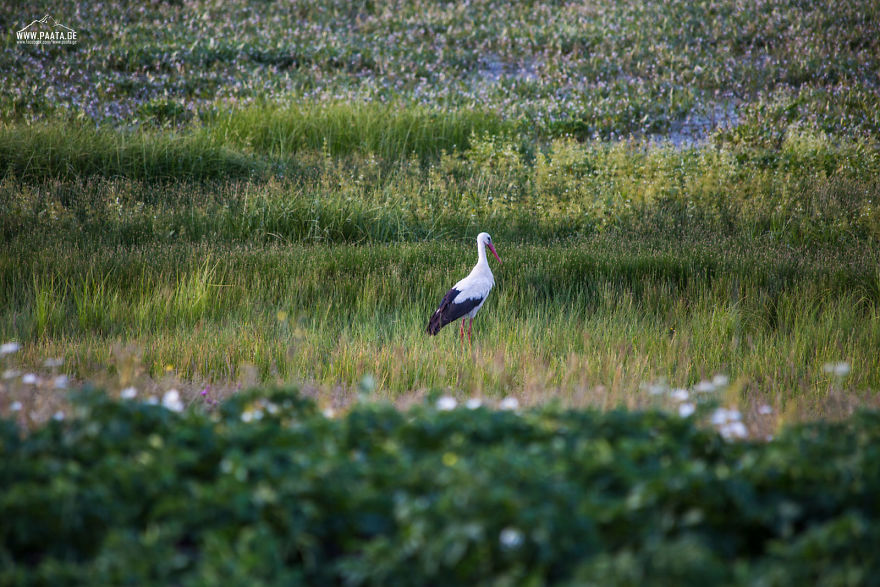 I Photographed The Beauty Of Javakheti Protected Areas In Georgia