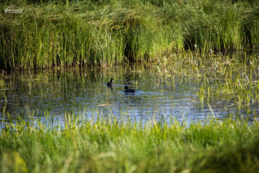 I Photographed The Beauty Of Javakheti Protected Areas In Georgia