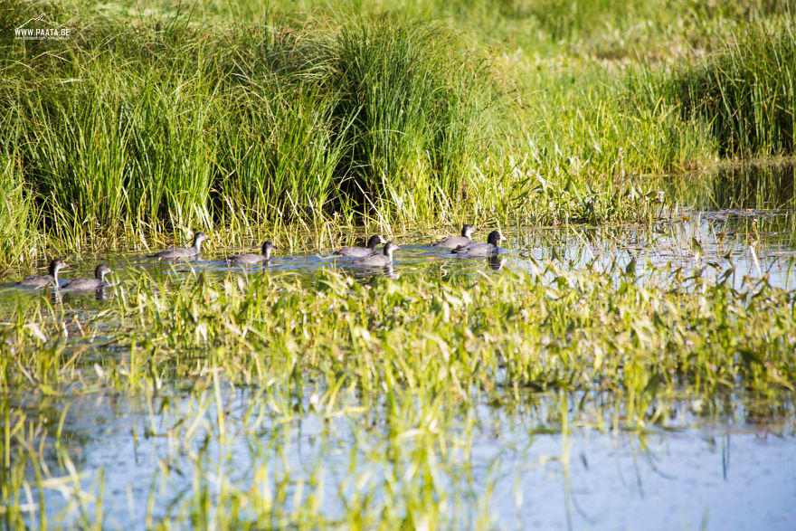 I Photographed The Beauty Of Javakheti Protected Areas In Georgia