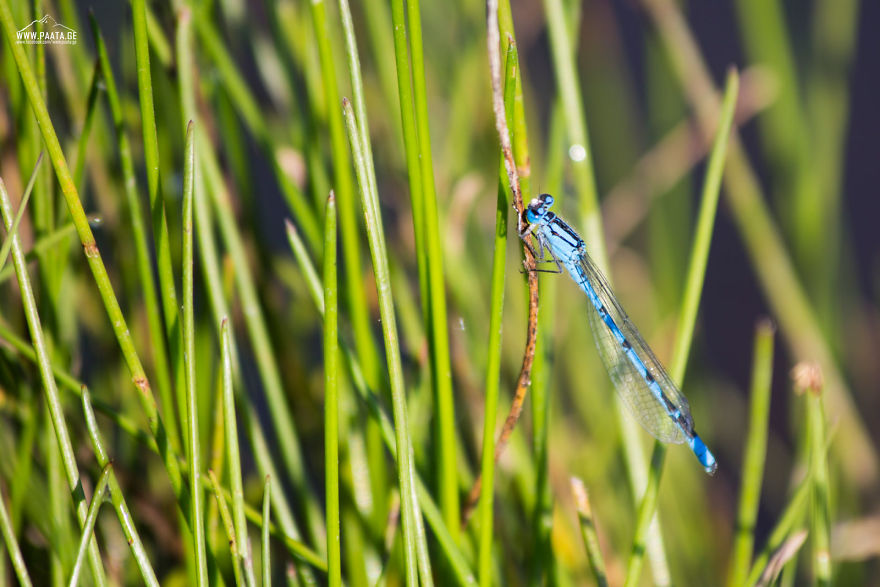 I Photographed The Beauty Of Javakheti Protected Areas In Georgia