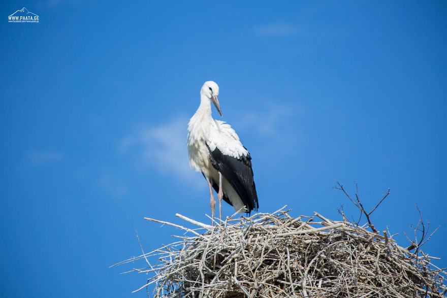 I Photographed The Beauty Of Javakheti Protected Areas In Georgia