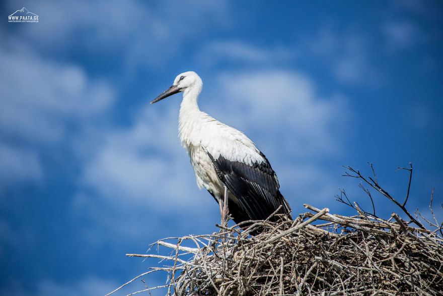 I Photographed The Beauty Of Javakheti Protected Areas In Georgia