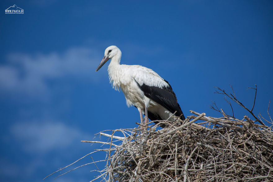 I Photographed The Beauty Of Javakheti Protected Areas In Georgia