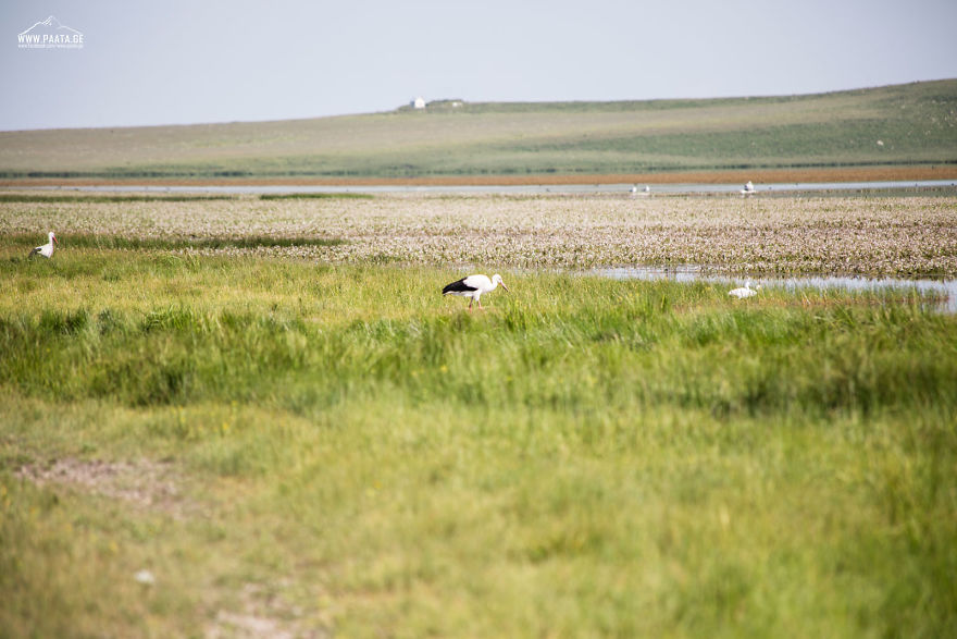 I Photographed The Beauty Of Javakheti Protected Areas In Georgia