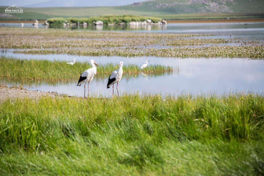 I Photographed The Beauty Of Javakheti Protected Areas In Georgia