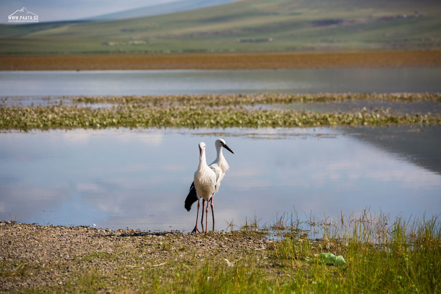 I Photographed The Beauty Of Javakheti Protected Areas In Georgia
