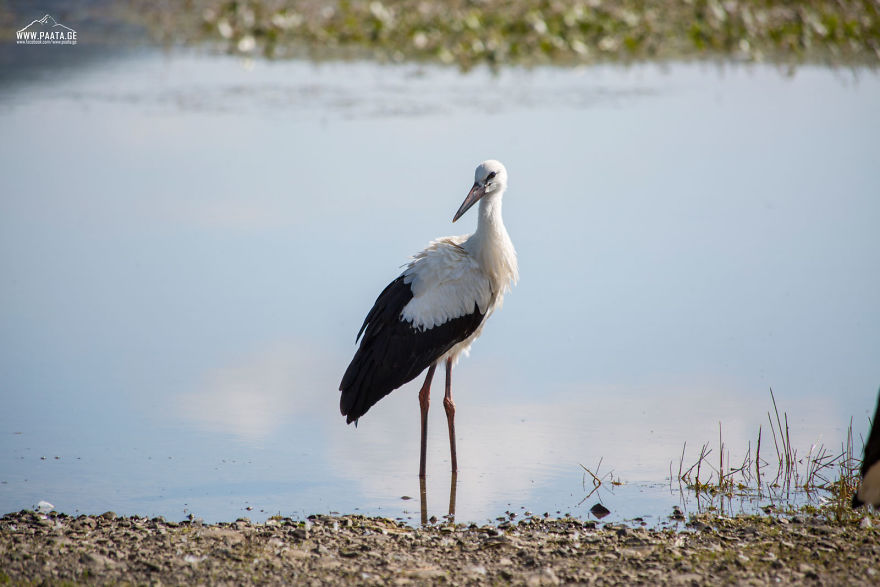 I Photographed The Beauty Of Javakheti Protected Areas In Georgia