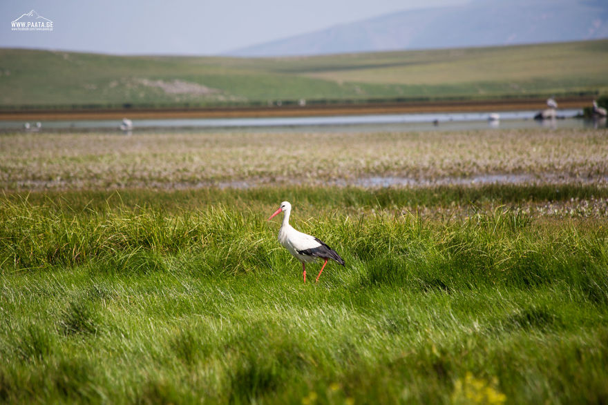 I Photographed The Beauty Of Javakheti Protected Areas In Georgia