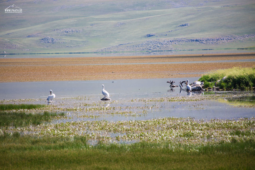 I Photographed The Beauty Of Javakheti Protected Areas In Georgia