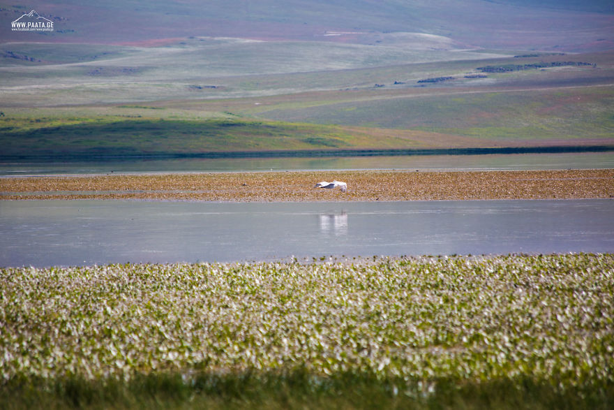 I Photographed The Beauty Of Javakheti Protected Areas In Georgia