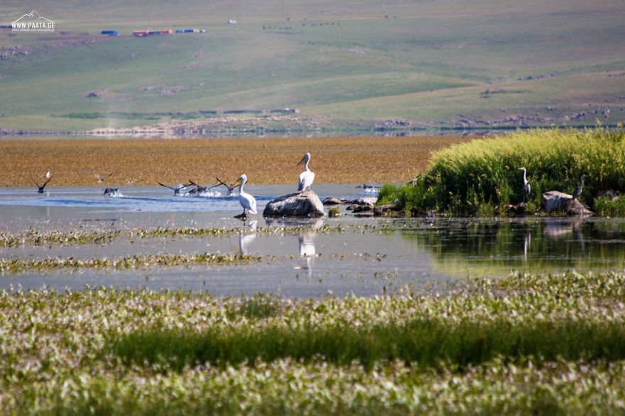 I Photographed The Beauty Of Javakheti Protected Areas In Georgia