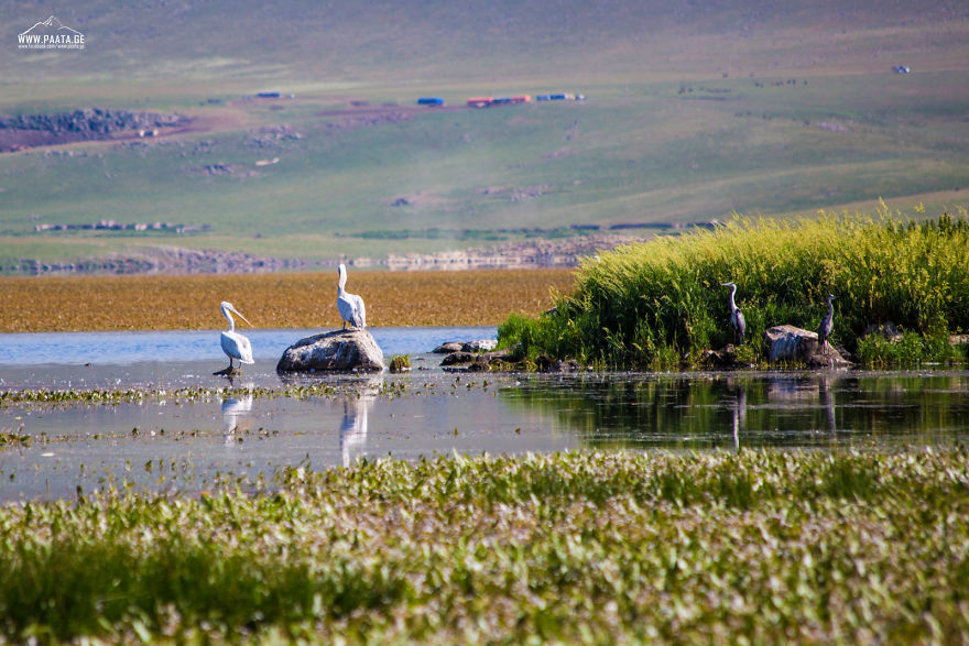 I Photographed The Beauty Of Javakheti Protected Areas In Georgia