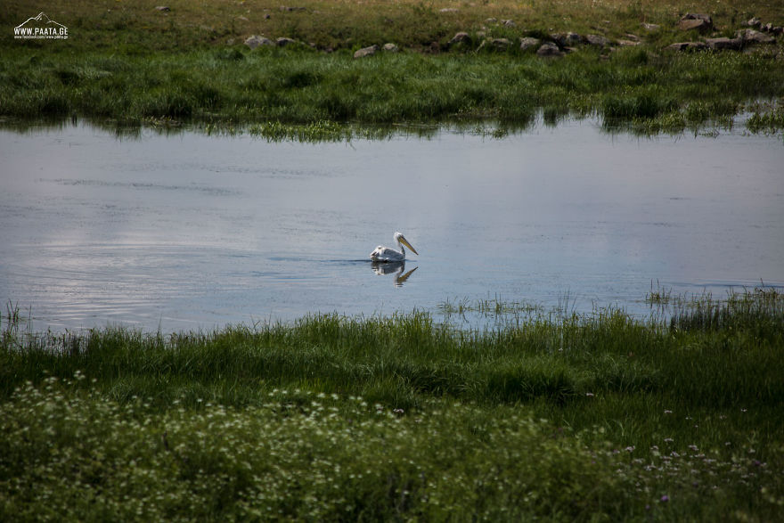 I Photographed The Beauty Of Javakheti Protected Areas In Georgia