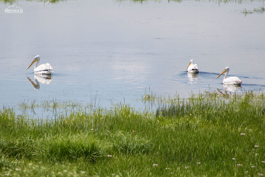 I Photographed The Beauty Of Javakheti Protected Areas In Georgia