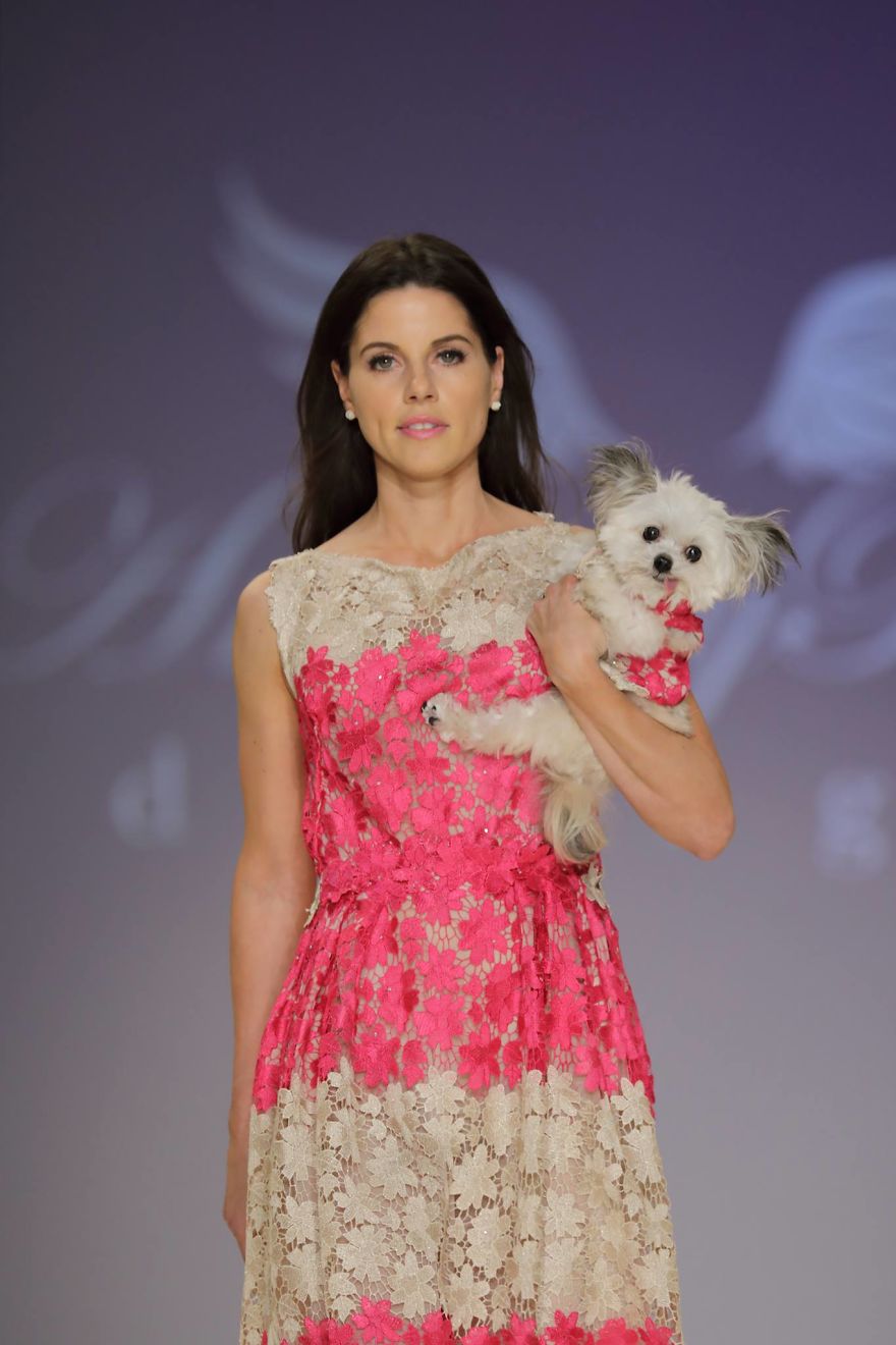 Dogs Take Over New York Fashion Week