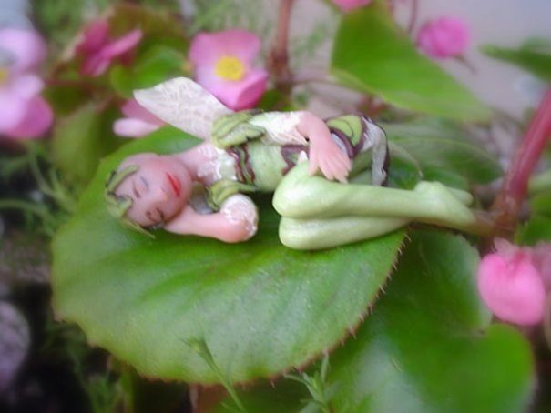 Shhhhhh...sleeping Fairies Ahead Shhhhhh...sleeping Fairies Ahead